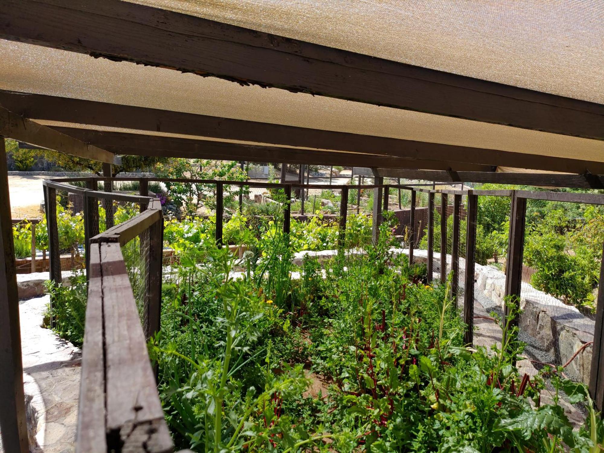 Hacienda Eco-Domes Βίλα Valle de Guadalupe Εξωτερικό φωτογραφία