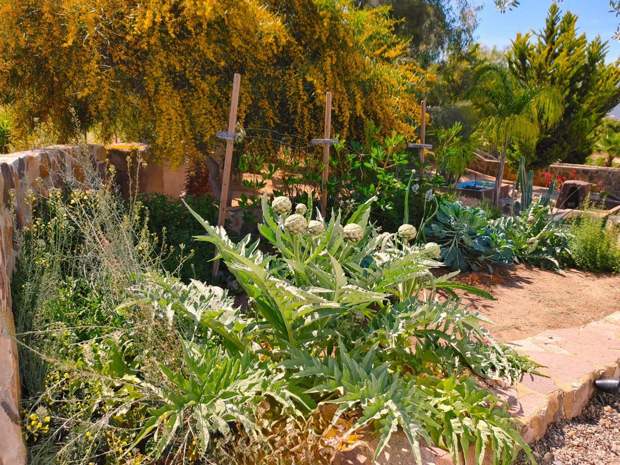 Hacienda Eco-Domes Βίλα Valle de Guadalupe Εξωτερικό φωτογραφία