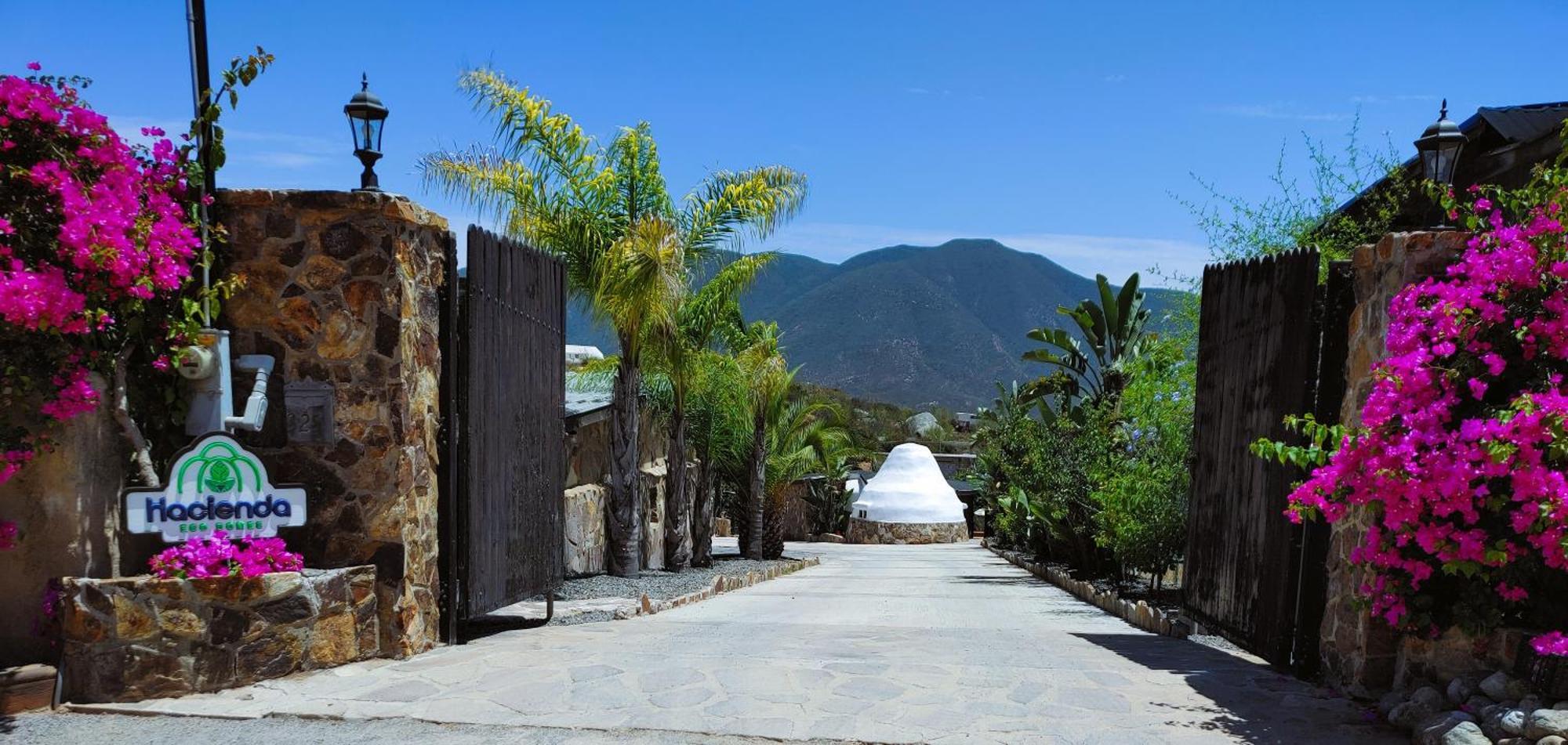 Hacienda Eco-Domes Βίλα Valle de Guadalupe Εξωτερικό φωτογραφία